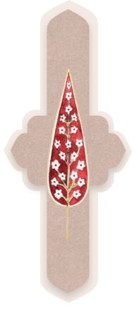 Slider Texture